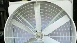 玻璃钢喇叭风机是厂房通风降温的理想选择